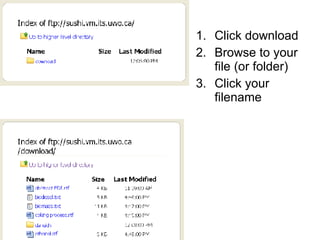 Click download Browse to your file (or folder) Click your filename 