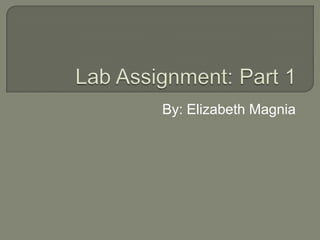 Lab Assignment: Part 1  By: Elizabeth Magnia 