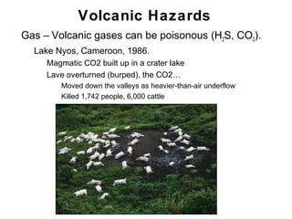 Volcanic Hazards
•   Gas – Volcanic gases can be poisonous (H2S, CO2).
    •   Lake Nyos, Cameroon, 1986.
         • Magmatic CO2 built up in a crater lake
         • Lave overturned (burped), the CO2…
             • Moved down the valleys as heavier-than-air underflow
             • Killed 1,742 people, 6,000 cattle




                                                                      Chapter 9
 