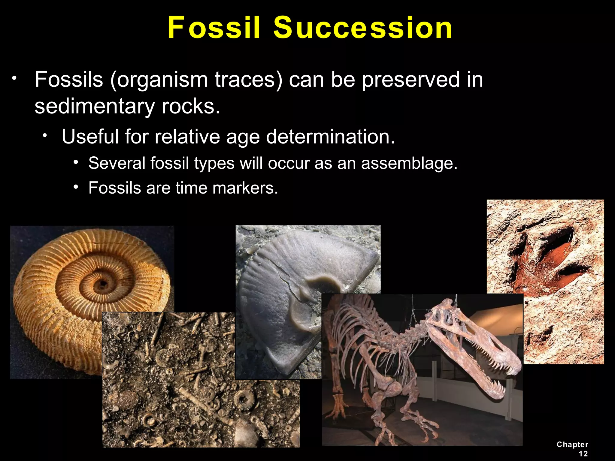 Chapter
12
Fossil Succession
• Fossils (organism traces) can be preserved in
sedimentary rocks.
• Useful for relative age determination.
• Several fossil types will occur as an assemblage.
• Fossils are time markers.
 