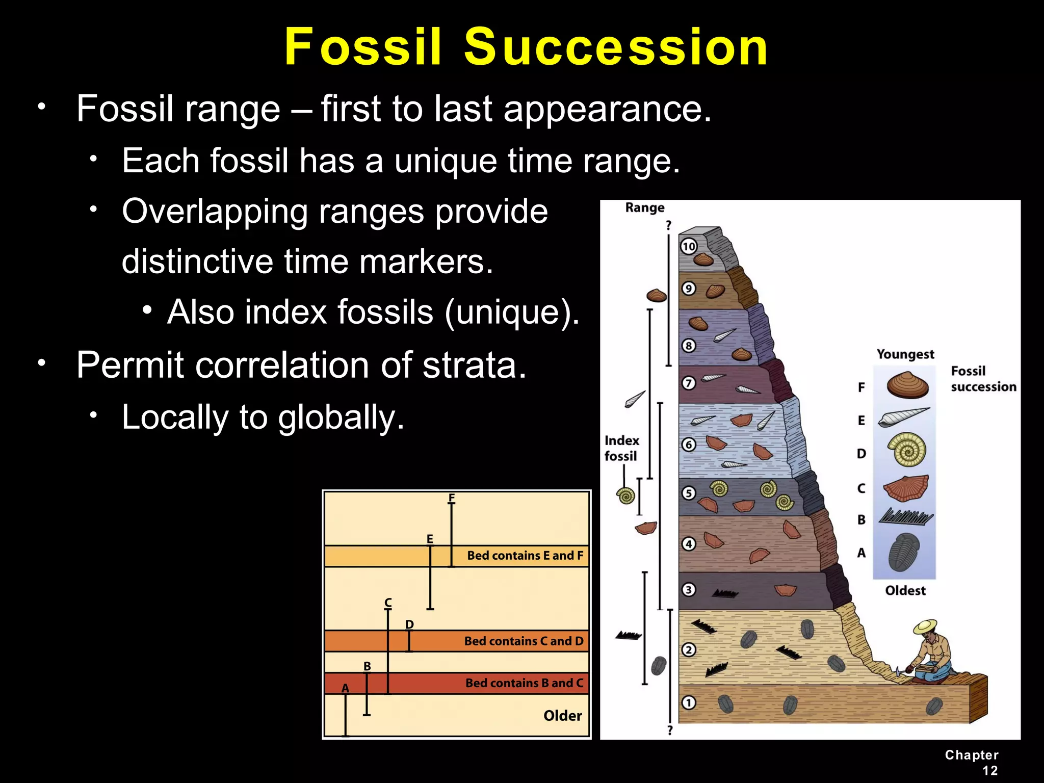 Chapter
12
• Fossil range – first to last appearance.
• Each fossil has a unique time range.
• Overlapping ranges provide
distinctive time markers.
• Also index fossils (unique).
• Permit correlation of strata.
• Locally to globally.
Fossil Succession
 