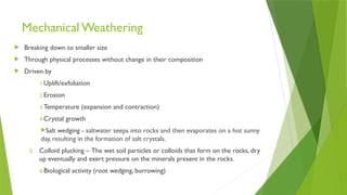 Mechanical Weathering
 Breaking down to smaller size
 Through physical processes without change in their composition
 Driven by
1.Uplift/exfoliation
2.Erosion
3.Temperature (expansion and contraction)
4.Crystal growth
Salt wedging - saltwater seeps into rocks and then evaporates on a hot sunny
day, resulting in the formation of salt crystals.
5. Colloid plucking – The wet soil particles or colloids that form on the rocks, dry
up eventually and exert pressure on the minerals present in the rocks.
6.Biological activity (root wedging, burrowing)
 