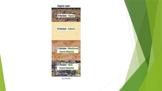 Click icon to add picture
Soil Profile
 