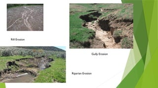 Rill Erosion
Gully Erosion
Riparian Erosion
 