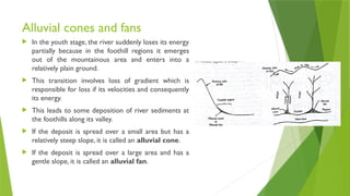 Alluvial cones and fans
 In the youth stage, the river suddenly loses its energy
partially because in the foothill regions it emerges
out of the mountainous area and enters into a
relatively plain ground.
 This transition involves loss of gradient which is
responsible for loss if its velocities and consequently
its energy.
 This leads to some deposition of river sediments at
the foothills along its valley.
 If the deposit is spread over a small area but has a
relatively steep slope, it is called an alluvial cone.
 If the deposit is spread over a large area and has a
gentle slope, it is called an alluvial fan.
 