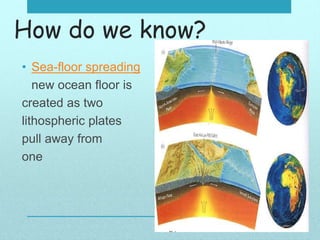 How do we know?
• Sea-floor spreading
new ocean floor is
created as two
lithospheric plates
pull away from
one another.
 