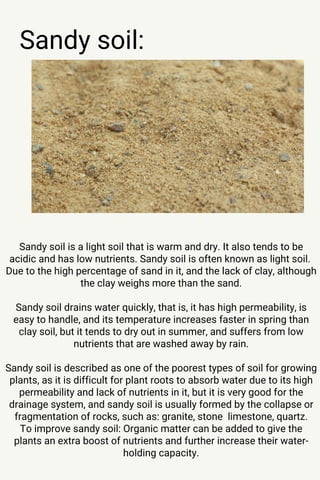 Sandy soil:
Sandy soil is a light soil that is warm and dry. It also tends to be
acidic and has low nutrients. Sandy soil is often known as light soil.
Due to the high percentage of sand in it, and the lack of clay, although
the clay weighs more than the sand.
Sandy soil drains water quickly, that is, it has high permeability, is
easy to handle, and its temperature increases faster in spring than
clay soil, but it tends to dry out in summer, and suffers from low
nutrients that are washed away by rain.
Sandy soil is described as one of the poorest types of soil for growing
plants, as it is difficult for plant roots to absorb water due to its high
permeability and lack of nutrients in it, but it is very good for the
drainage system, and sandy soil is usually formed by the collapse or
fragmentation of rocks, such as: granite, stone limestone, quartz.
To improve sandy soil: Organic matter can be added to give the
plants an extra boost of nutrients and further increase their water-
holding capacity.
 