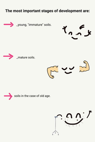 The most important stages of development are:
_young, "immature" soils.
_mature soils.
soils in the case of old age.
 