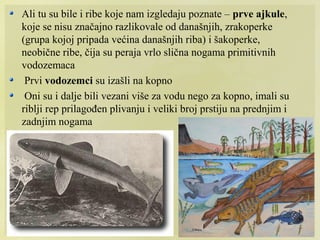 Zrakoperke Ribe Geološka doba i teorije o organskoj evoluciji | PPT