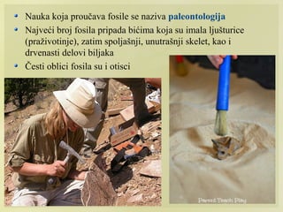 Nauka koja proučava fosile se naziva paleontologija
Najveći broj fosila pripada bićima koja su imala ljušturice
(praživotinje), zatim spoljašnji, unutrašnji skelet, kao i
drvenasti delovi biljaka
Česti oblici fosila su i otisci
 