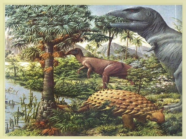 Geološka doba i teorije o organskoj evoluciji