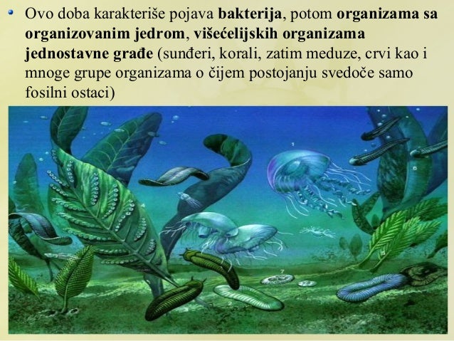 Geološka doba i teorije o organskoj evoluciji