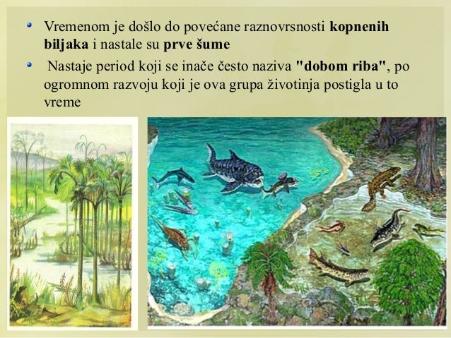 Geološka doba i teorije o organskoj evoluciji