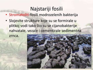 Najstariji fosili
• Stromatoliti-fosili modrozelenih bakterija
• Slojevite strukture koje su se formirale u
plitkoj vodi tako što su se cijanobakterije
nahvatale, vezale i cementirale sedimentna
zrnca.
 