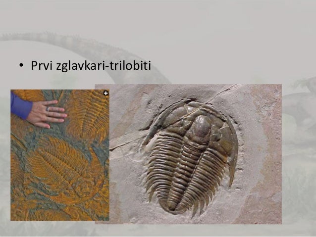 Geološka doba