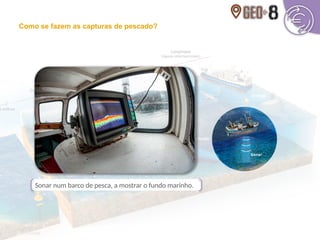 Sonar num barco de pesca, a mostrar o fundo marinho.
Como se fazem as capturas de pescado?
 
