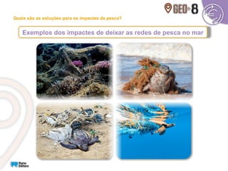 Exemplos dos impactes de deixar as redes de pesca no mar
Quais são as soluções para os impactes da pesca?
 