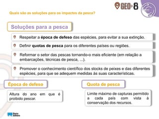 Respeitar a época de defeso das espécies, para evitar a sua extinção.
Reformar o setor das pescas tornando-o mais eficiente (em relação a
embarcações, técnicas de pesca, ...).
Definir quotas de pesca para os diferentes países ou regiões.
Promover o conhecimento científico dos stocks de peixes e das diferentes
espécies, para que se adequem medidas às suas características.
Quais são as soluções para os impactes da pesca?
Soluções para a pesca
Altura do ano em que é
proibido pescar.
Época de defeso
Limite máximo de capturas permitido
a cada país com vista à
conservação dos recursos.
Quota de pesca
 