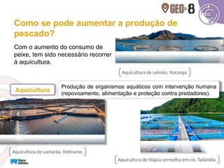 Com o aumento do consumo de
peixe, tem sido necessário recorrer
à aquicultura.
Como se pode aumentar a produção de
pescado?
Produção de organismos aquáticos com intervenção humana
(repovoamento, alimentação e proteção contra predadores).
Aquicultura
Aquicultura de camarão, Vietname.
Aquicultura de salmão, Noruega.
Aquicultura de tilápia vermelha em rio, Tailândia.
 
