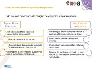 Alimentação exclusivamente natural, a
partir do plâncton existente na água.
São dois os processos de criação de espécies em aquicultura.
Alimentação artificial (rações e
suplementos alimentares).
Grande densidade de peixes.
Controlo total da produção, incluindo
a reprodução e o crescimento.
Calibragens e amostragens sucessivas
para o aumento do rendimento.
Aquicultura
intensiva
Aquicultura
extensiva
Como se pode aumentar a produção de pescado?
Menor densidade de peixes nos
viveiros.
Captura da espécie a produzir no meio
natural ou com origem em unidades de
reprodução.
Uso exclusivo das condições naturais
disponíveis.
 