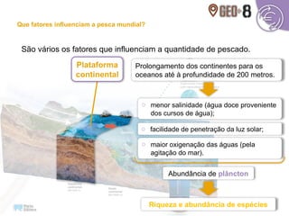 São vários os fatores que influenciam a quantidade de pescado.
Prolongamento dos continentes para os
oceanos até à profundidade de 200 metros.
Plataforma
continental
o menor salinidade (água doce proveniente
dos cursos de água);
o facilidade de penetração da luz solar;
o maior oxigenação das águas (pela
agitação do mar).
Abundância de plâncton
Riqueza e abundância de espécies
Que fatores influenciam a pesca mundial?
 