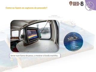 Sonar num barco de pesca, a mostrar o fundo marinho.
Como se fazem as capturas de pescado?
 