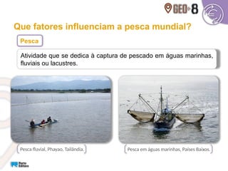 Pesca fluvial, Phayao, Tailândia.
Que fatores influenciam a pesca mundial?
Atividade que se dedica à captura de pescado em águas marinhas,
fluviais ou lacustres.
Pesca
Pesca em águas marinhas, Países Baixos.
 