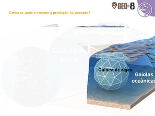 Pormenores da produção em aquicultura
Explorações terrestres
Gaiolas costeiras
Cultura de algas
Como se pode aumentar a produção de pescado?
 