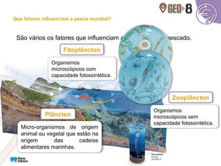 São vários os fatores que influenciam a quantidade de pescado.
Micro-organismos de origem
animal ou vegetal que estão na
origem das cadeias
alimentares marinhas.
Plâncton
Fitoplâncton
Organismos
microscópicos com
capacidade fotossintética.
Zooplâncton
Organismos
microscópicos sem
capacidade fotossintética.
Que fatores influenciam a pesca mundial?
 