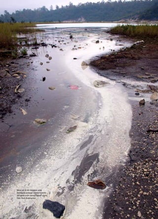 102 GEOMAGZ Maret 2013 102
Aliran air di sisi tenggara yang
membawa endapan sejenis travertin
berwarna putih menuju kawah utama.
Foto: Budi Brahmantyo
 