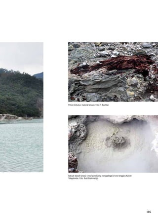 105
Pohon terkubur material letusan. Foto: T. Bachtiar
Sebuah kawah lumpur (mud pond) yang menggelegak di sisi tenggara Kawah
Talagabodas. Foto: Budi Brahmantyo
 