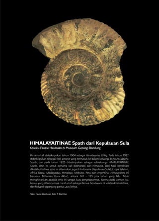 109109
Pertama kali dideskripsikan tahun 1904 sebagai Himalayaites Uhlig. Pada tahun 1922
dideskripsikan sebagai fosil amonit yang termasuk ke dalam keluarga BERRIASELLIDAE
Spath, dan pada tahun 1925 dideskripsikan sebagai subkeluarga HIMALAYAITINAE
Spath. Jenis ini untuk pertama kali dideskripsi dari Himalaya. Dari hasil penelitian
diketahui bahwa jenis ini ditemukan juga di Indonesia (Kepulauan Sula), Eropa Selatan,
Afrika Utara, Madagaskar, Himalaya, Meksiko, Peru dan Argentina. Himalayaites ini
berumur Tithonian (Jura Akhir), antara 141 - 135 juta tahun yang lalu. Tidak
mengherankan apabila jenis ini sangat luas penyebarannya, karena pada zaman itu,
benua yang ditempatinya masih utuh sebagai Benua Gondwana di selatan khatulistiwa,
dan hidup di sepanjang pantai Laut Tethys.
Teks: Fauzie Hasibuan, foto: T. Bachtiar.
HIMALAYAITINAE Spath dari Kepulauan Sula
Koleksi Fauzie Hasibuan di Museum Geologi Bandung
 
