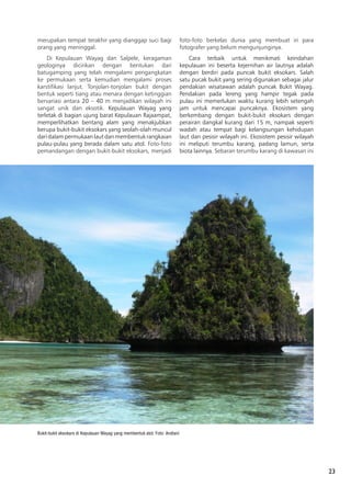 23
Bukit-bukit eksokars di Kepulauan Wayag yang membentuk atol. Foto: Andiani
merupakan tempat terakhir yang dianggap suci bagi
orang yang meninggal.
Di Kepulauan Wayag dan Salpele, keragaman
geologinya dicirikan dengan bentukan dari
batugamping yang telah mengalami pengangkatan
ke permukaan serta kemudian mengalami proses
karstifikasi lanjut. Tonjolan-tonjolan bukit dengan
bentuk seperti tiang atau menara dengan ketinggian
bervariasi antara 20 – 40 m menjadikan wilayah ini
sangat unik dan eksotik. Kepulauan Wayag yang
terletak di bagian ujung barat Kepulauan Rajaampat,
memperlihatkan bentang alam yang menakjubkan
berupa bukit-bukit eksokars yang seolah-olah muncul
dari dalam permukaan laut dan membentuk rangkaian
pulau-pulau yang berada dalam satu atol. Foto-foto
pemandangan dengan bukit-bukit eksokars, menjadi
foto-foto berkelas dunia yang membuat iri para
fotografer yang belum mengunjunginya.
Cara terbaik untuk menikmati keindahan
kepulauan ini beserta kejernihan air lautnya adalah
dengan berdiri pada puncak bukit eksokars. Salah
satu pucak bukit yang sering digunakan sebagai jalur
pendakian wisatawan adalah puncak Bukit Wayag.
Pendakian pada lereng yang hampir tegak pada
pulau ini memerlukan waktu kurang lebih setengah
jam untuk mencapai puncaknya. Ekosistem yang
berkembang dengan bukit-bukit eksokars dengan
perairan dangkal kurang dari 15 m, nampak seperti
wadah atau tempat bagi kelangsungan kehidupan
laut dan pesisir wilayah ini. Ekosistem pesisir wilayah
ini meliputi terumbu karang, padang lamun, serta
biota lainnya. Sebaran terumbu karang di kawasan ini
 