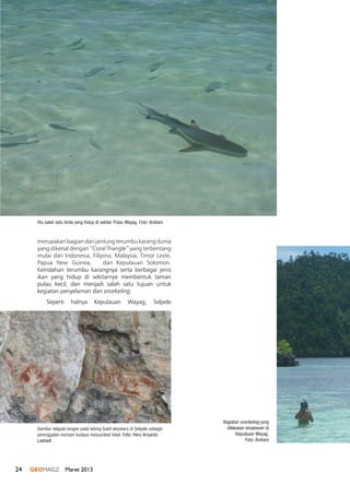 24 GEOMAGZ Maret 2013
merupakan bagian dari jantung terumbu karang dunia
yang dikenal dengan “Coral Triangle” yang terbentang
mulai dari Indonesia, Filipina, Malaysia, Timor Leste,
Papua New Guinea, dan Kepulauan Solomon.
Keindahan terumbu karangnya serta berbagai jenis
ikan yang hidup di sekitarnya membentuk taman
pulau kecil, dan menjadi salah satu tujuan untuk
kegiatan penyelaman dan snorkeling.
Seperti halnya Kepulauan Wayag, Selpele
Hiu salah satu biota yang hidup di sekitar Pulau Wayag. Foto: Andiani
Kegiatan snorkeling yang
dilakukan wisatawan di
Kepulauan Wayag.
Foto: Andiani
Gambar telapak tangan pada tebing bukit eksokars di Selpele sebagai
peninggalan warisan budaya masyarakat lokal. Foto: Heru Ariyanto
Lastiadi
 
