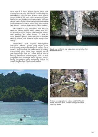 25
Stalaktit yang memiliki nilai religi bagi penduduk setempat. Lokasi Teluk
Mayalibit. Foto: Andiani
Tengkorak manusia yang dijumpai pada gua kars di Teluk Mayalibit.
Sumber: Profil Ragam Wisata, Kabupaten Rajaampat, Papua Barat
(2009). Foto: Andiani
yang terletak di Pulau Waigeo bagian barat juga
menunjukkan bentang alam berupa tonjolan-tonjolan
bukit eksokars yang luar biasa. Ada tambahan potensi
yang menarik di sini, yaitu dijumpainya peninggalan
warisan budaya nenek moyang orang Papua. Gambar
tangan pada dinding tebing batugamping berwarna
merah yang menggunakan bahan alami oker – serbuk
besi hematit – nampak seperti warna darah manusia.
Teluk Mayalibit yang merupakan teluk tertutup
bermulut sempit dengan lebar kurang lebih 350
m terletak di bagian tengah Pulau Waigeo, seolah-
olah membagi dua pulau Waigeo. Di teluk ini
pada beberapa tempat ditemukan juga bukit-bukit
eksokars, namun tidak sebanyak seperti di Kepulauan
Wayag.
Terbentuknya Teluk Mayalibit kemungkinan
merupakan lembah graben yang terjadi pada
batugamping sebagai akibat kegiatan tektonik (sesar
normal). Indikasi graben berupa kenampakan dinding
batugamping yang berdiri tegak tampak terlihat
jelas mengelilingi teluk ini. Graben dengan bentuk
tertutup seolah-olah memerangkap aliran air laut
yang mengalir di dalamnya. Berdiri tegaknya tebing-
tebing batugamping yang mengelilingi wilayah ini
membuatnya tampak seperti danau air laut.
 