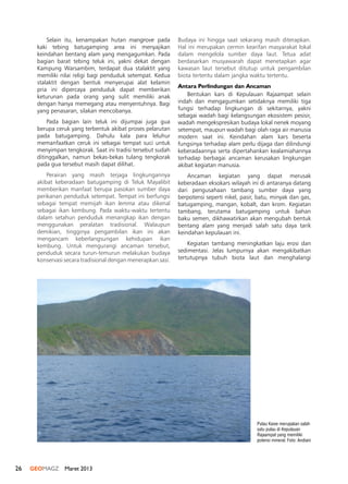 26 GEOMAGZ Maret 2013
Selain itu, kenampakan hutan mangrove pada
kaki tebing batugamping area ini menyajikan
keindahan bentang alam yang mengagumkan. Pada
bagian barat tebing teluk ini, yakni dekat dengan
Kampung Warsambim, terdapat dua stalaktit yang
memiliki nilai religi bagi penduduk setempat. Kedua
stalaktit dengan bentuk menyerupai alat kelamin
pria ini dipercaya penduduk dapat memberikan
keturunan pada orang yang sulit memiliki anak
dengan hanya memegang atau menyentuhnya. Bagi
yang penasaran, silakan mencobanya.
Pada bagian lain teluk ini dijumpai juga gua
berupa ceruk yang terbentuk akibat proses pelarutan
pada batugamping. Dahulu kala para leluhur
memanfaatkan ceruk ini sebagai tempat suci untuk
menyimpan tengkorak. Saat ini tradisi tersebut sudah
ditinggalkan, namun bekas-bekas tulang tengkorak
pada gua tersebut masih dapat dilihat.
Perairan yang masih terjaga lingkungannya
akibat keberadaan batugamping di Teluk Mayalibit
memberikan manfaat berupa pasokan sumber daya
perikanan penduduk setempat. Tempat ini berfungsi
sebagai tempat memijah ikan lemma atau dikenal
sebagai ikan kembung. Pada waktu-waktu tertentu
dalam setahun penduduk menangkap ikan dengan
menggunakan peralatan tradisional. Walaupun
demikian, tingginya pengambilan ikan ini akan
mengancam keberlangsungan kehidupan ikan
kembung. Untuk mengurangi ancaman tersebut,
penduduk secara turun-temurun melakukan budaya
konservasi secara tradisional dengan menerapkan sasi.
Budaya ini hingga saat sekarang masih diterapkan.
Hal ini merupakan cermin kearifan masyarakat lokal
dalam mengelola sumber daya laut. Tetua adat
berdasarkan musyawarah dapat menetapkan agar
kawasan laut tersebut ditutup untuk pengambilan
biota tertentu dalam jangka waktu tertentu.
Antara Perlindungan dan Ancaman
Bentukan kars di Kepulauan Rajaampat selain
indah dan mengagumkan setidaknya memiliki tiga
fungsi terhadap lingkungan di sekitarnya, yakni
sebagai wadah bagi kelangsungan ekosistem pesisir,
wadah mengekspresikan budaya lokal nenek moyang
setempat, maupun wadah bagi olah raga air manusia
modern saat ini. Keindahan alam kars beserta
fungsinya terhadap alam perlu dijaga dan dilindungi
keberadaannya serta dipertahankan kealamiahannya
terhadap berbagai ancaman kerusakan lingkungan
akibat kegiatan manusia.
Ancaman kegiatan yang dapat merusak
keberadaan eksokars wilayah ini di antaranya datang
dari pengusahaan tambang sumber daya yang
berpotensi seperti nikel, pasir, batu, minyak dan gas,
batugamping, mangan, kobalt, dan krom. Kegiatan
tambang, terutama batugamping untuk bahan
baku semen, dikhawatirkan akan mengubah bentuk
bentang alam yang menjadi salah satu daya tarik
keindahan kepulauan ini.
Kegiatan tambang meningkatkan laju erosi dan
sedimentasi. Jelas lumpurnya akan mengakibatkan
tertutupnya tubuh biota laut dan menghalangi
Pulau Kawe merupakan salah
satu pulau di Kepulauan
Rajaampat yang memiliki
potensi mineral. Foto: Andiani
 