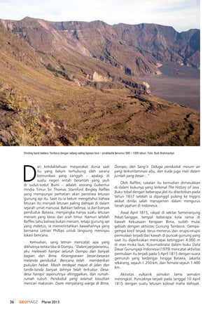 36 GEOMAGZ Maret 2013
D
ari ketidaktahuan masyarakat dunia saat
itu yang belum terhubung oleh sarana
komunikasi yang canggih – apalagi di
suatu negeri entah berantah yang jauh
di sudut-sudut Bumi – adalah seorang Gubernur
Hindia Timur Sir Thomas Stamford Bingley Raffles
yang mempunyai perhatian akan peristiwa letusan
gunung api itu. Saat itu ia belum mengetahui bahwa
letusan itu menjadi letusan paling dahsyat di dalam
sejarah umat manusia. Bahkan tadinya, ia dan banyak
penduduk Batavia, menyangka hanya suatu letusan
meriam yang keras dari arah timur. Namun setelah
Raffles tahu bahwa bukan meriam, tetapi gunung api
yang meletus, ia memerintahkan bawahannya yang
bernama Letnan Phillips untuk langsung meninjau
lokasi bencana.
Kemudian, sang letnan mencatat apa yang
dilihatnya ketika tiba di Dompu. “Dalam perjalananku,
aku melewati hampir seluruh Dompo dan banyak
bagian dari Bima. Kesengsaraan besar-besaran
melanda penduduk. Bencana telah  memberikan
pukulan hebat. Masih terdapat mayat di jalan dan
tanda-tanda banyak lainnya telah terkubur. Desa-
desa hampir sepenuhnya ditinggalkan, dan rumah-
rumah rubuh. Penduduk yang selamat kesulitan
mencari makanan. Diare menyerang warga di Bima,
Dompo, dan Sang’ir. Diduga penduduk minum air
yang terkontaminasi abu, dan kuda juga mati dalam
jumlah yang besar…”
Oleh Raffles, catatan itu kemudian dimasukkan
di dalam bukunya yang terkenal The History of Java.
Buku tebal dengan beberapa jilid itu diterbitkan pada
tahun 1817 setelah ia dipanggil pulang ke Inggris
akibat dinilai salah manajemen dalam mengurus
tanah jajahan di Indonesia.
Awal April 1815, rakyat di sekitar Semenanjung
Pekat-Sanggar, tempat beberapa kota ramai di
bawah Kekuasaan Kerajaan Bima, sudah mulai
gelisah dengan aktivitas Gunung Tambora. Gempa-
gempa kecil terjadi terus-menerus dan erupsi-erupsi
permulaan terjadi dari kawah di puncak gunung yang
saat itu diperkirakan mencapai ketinggian 4.000 m
di atas muka laut. Kusumadinata dalam buku Data
Dasar Gunungapi Indonesia (1979) mencatat aktivitas
permulaan itu terjadi pada 5 April 1815 dengan suara
gemuruh yang terdengar hingga Batavia, Jakarta
sekarang, sejauh 1.250 km, dan Ternate sejauh 1.400
km.
Aktivitas vulkanik semakin lama semakin
meningkat. Puncaknya terjadi pada tanggal 10 April
1815 dengan suatu letusan kolosal maha dahsyat. 
Dinding barat kaldera Tambora dengan selang-seling lapisan lava – piroklastik berumur 500 – 1000 tahun. Foto: Budi Brahmantyo
 