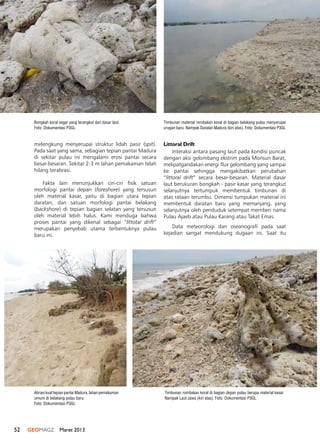 52 GEOMAGZ Maret 2013
melengkung menyerupai struktur lidah pasir (spit).
Pada saat yang sama, sebagian tepian pantai Madura
di sekitar pulau ini mengalami erosi pantai secara
besar-besaran. Sekitar 2-3 m lahan pemakaman telah
hilang terabrasi.
Fakta lain menunjukkan ciri-ciri fisik satuan
morfologi pantai depan (foreshore) yang tersusun
oleh material kasar, yaitu di bagian utara tepian
daratan, dan satuan morfologi pantai belakang
(backshore) di tepian bagian selatan yang tersusun
oleh material lebih halus. Kami menduga bahwa
proses pantai yang dikenal sebagai “littotal drift”
merupakan penyebab utama terbentuknya pulau
baru ini.
Timbunan rombakan koral di bagian depan pulau berupa material kasar.
Nampak Laut Jawa (kiri atas). Foto: Dokumentasi P3GL
Timbunan material rombakan koral di bagian belakang pulau menyerupai
urugan baru. Nampak Daratan Madura (kiri atas). Foto: Dokumentasi P3GL
Abrasi kuat tepian pantai Madura, lahan pemakaman
umum di belakang pulau baru.
Foto: Dokumentasi P3GL
Littoral Drift
Interaksi antara pasang laut pada kondisi puncak
dengan aksi gelombang ekstrim pada Monsun Barat,
melipatgandakan energi flux gelombang yang sampai
ke pantai sehingga mengakibatkan perubahan
“littoral drift” secara besar-besaran. Material dasar
laut berukuran bongkah - pasir kasar yang terangkut
selanjutnya tertumpuk membentuk timbunan di
atas rataan terumbu. Dimensi tumpukan material ini
membentuk daratan baru yang memanjang, yang
selanjutnya oleh penduduk setempat memberi nama
Pulau Ajaeb atau Pulau Karang atau Takat Emas. 
Data meteorologi dan oseanografi pada saat
kejadian sangat mendukung dugaan ini. Saat itu
Bongkah koral segar yang terangkut dari dasar laut.
Foto: Dokumentasi P3GL
 