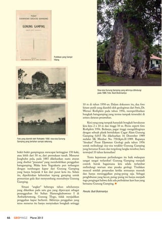 66 GEOMAGZ Maret 201366
bukit-bukit gampingnya mencapai ketinggian 150 kaki,
atau lebih dari 50 m, dari permukaan tanah. Menurut
Junghuhn pula, pada 1883 dikeluarkan suatu aturan
yang disebut “pranatan” yang membolehkan penggalian
batugamping. Maka kota Yogyakarta pun terbangun
dengan sumbangan kapur dari Gunung Gamping
yang hanya berjarak 4 km dari pusat kota itu. Selain
itu, diperkirakan kebutuhan tepung gamping untuk
pemurnian gula ikut menyumbang musnahnya Gunung
Gamping.
Situasi “angker” beberapa tahun sebelumnya
yang dikaitkan pada satu gua yang dipercayai sebagai
pesanggrahan Sri Sultan Hamengkubuwono I di
Ambarketawang, Gunung Tlogo, tidak menjadikan
penggalian kapur berhenti. Akhirnya penggalian yang
terus menerus itu hanya menyisakan bongkah setinggi
Sisa-sisa Gunung Gamping yang akhirnya dilindungi
pada 1989. Foto: Budi Brahmantyo
10 m di tahun 1950-an. Dalam dokumen itu, dua foto
hitam-putih yang diambil oleh geologiwan dari Swis,Dr.
Werner Rothpletz pada tahun 1956, memperlihatkan
bongkah batugamping yang tersisa tampak tersendiri di
antara dataran pesawahan.
Kini yang yang tampak hanyalah bongkah berukuran
kira-kira 2 x 10 m dan tinggi 10 m. Persis seperti foto
Rothpletz 1956. Bedanya, pagar tinggi mengelilinginya
dengan sebuah plank bertuliskan: Cagar Alam Gunung
Gamping 0,015 Ha dikeluarkan 16 Desember 1989
melalui SK Menhut No. 758.Kpts.II-1989. Rupanya
“desakan” Pusat Djawatan Geologi pada tahun 1956
untuk melindungi sisa-sisa terakhir Gunung Gamping
yang berumur Eosen dan tergolong langka tersebut, baru
terwujud 33 tahun kemudian!
Tentu keputusan perlindungan itu baik walaupun
sangat sangat terlambat! Gunung Gamping menjadi
contoh buruk bagaimana kita selalu terlambat
melindungi warisan atau pusaka geologi. Tindakan
muncul setelah penyesalan ketika semuanya musnah
dan hanya meninggalkan puing-puing saja. Sebagai
penghiburan yang kecut, puing-puing ini hanya menjadi
tugu pengingat bahwa dulu ada perbukitan kars luas yang
bernama Gunung Gamping. n
Penulis: Budi Brahmantyo
Foto yang diambil oleh Rothpletz 1956: sisa-sisa Gunung
Gamping yang bertahan sampai sekarang.
Publikasi yang hampir
hilang.
 