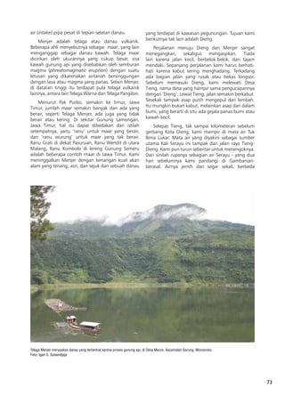 73
Telaga Menjer merupakan danau yang terbentuk karena proses gunung api, di Desa Maron, Kecamatan Garung, Wonosobo.
Foto: Igan S. Sutawidjaja
air (intake) pipa pesat di tepian selatan danau.
Menjer adalah telaga atau danau vulkanik.
Beberapa ahli menyebutnya sebagai maar, yang lain
menganggap sebagai danau kawah. Telaga maar
dicirikan oleh ukurannya yang cukup besar, sisa
kawah gunung api yang disebabkan oleh semburan
magma (phreatomagmatic eruption) dengan suatu
letusan yang dikarenakan airtanah bersinggungan
dengan lava atau magma yang panas. Selain Menjer,
di dataran tinggi itu terdapat pula telaga vulkanik
lainnya, antara lain Telaga Warna dan Telaga Pangilon.
Menurut Pak Purbo, semakin ke timur, Jawa
Timur, jumlah maar semakin banyak dan ada yang
berair, seperti Telaga Menjer, ada juga yang tidak
berair atau kering. Di sekitar Gunung Lamongan,
Jawa Timur, hal itu dapat dibedakan dari istilah
setempatnya, yaitu ‘ranu’ untuk maar yang berair,
dan ‘ranu wurung’ untuk maar yang tak berair.
Ranu Grati di dekat Pasuruan, Ranu Wendit di utara
Malang, Ranu Kumbolo di lereng Gunung Semeru
adalah beberapa contoh maar di Jawa Timur. Kami
meninggalkan Menjer dengan kenangan kuat akan
alam yang tenang, asri, dan sejuk dari sebuah danau
yang terdapat di kawasan pegunungan. Tujuan kami
berikutnya tak lain adalah Dieng.
Perjalanan menuju Dieng dari Menjer sangat
menegangkan, sekaligus mengasyikan. Tiada
lain karena jalan kecil, berbelok-belok, dan tajam
mendaki. Sepanjang perjalanan kami harus berhati-
hati karena kabut sering menghadang. Terkadang
ada bagian jalan yang rusak atau bekas longsor.
Sebelum memasuki Dieng, kami melewati Desa
Tieng, nama desa yang hampir sama pengucapannya
dengan ‘Dieng’. Lewat Tieng, jalan semakin berkabut.
Sesekali tampak asap putih mengepul dari lembah.
Itu mungkin bukan kabut, melainkan asap dari dalam
bumi, yang berarti di situ ada gejala panas bumi atau
kawah kecil.
Selepas Tieng, tak sampai kilometeran sebelum
gerbang Kota Dieng, kami mampir di mata air Tuk
Bima Lukar. Mata air yang diyakini sebagai sumber
utama Kali Serayu ini tampak dari jalan raya Tieng-
Dieng. Kami pun turun sebentar untuk menengoknya.
Dari sinilah rupanya sebagian air Serayu - yang dua
hari sebelumnya kami pandangi di Gambarsari-
berasal. Airnya jernih dan segar sekali, berbeda
 