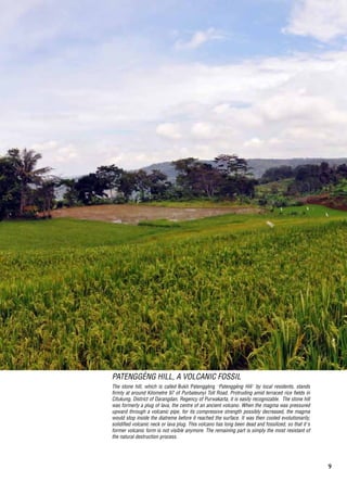 9
The stone hill, which is called Bukit Patenggéng ‘Patenggéng Hill’ by local residents, stands
firmly at around Kilometre 97 of Purbaleunyi Toll Road. Protruding amid terraced rice fields in
Citukung, District of Darangdan, Regency of Purwakarta, it is easily recognizable.  The stone hill
was formerly a plug of lava, the centre of an ancient volcano. When the magma was pressured
upward through a volcanic pipe, for its compressive strength possibly decreased, the magma
would stop inside the diatreme before it reached the surface. It was then cooled evolutionarily,
solidified volcanic neck or lava plug. This volcano has long been dead and fossilized, so that it’s
former volcanic form is not visible anymore. The remaining part is simply the most resistant of
the natural destruction process.
Patenggéng Hill, A Volcanic Fossil
 