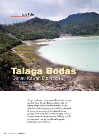 98 GEOMAGZ Maret 2013
Talaga Bodas
Danau Kawah Putih Susu
Telaga putih susu yang membulat itu dibentengi
dinding hijau Kawah Talagabodas Muda. Di
tepian telaga, pohon tua warna merah marun
terkubur bebatuan gunung api, terlihat menonjol
di antara hamparan pasir dan kerikil warna
gading. Paku tiang dan kayu hutan yang tersisa,
masih memancarkan pesonanya, diselingi pucuk-
pucuk merah cantigi, membawa kesegaran
lingkungan danau kawah.
Oleh: T. Bachtiar
Esai Foto
 