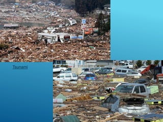 Tsunami
 