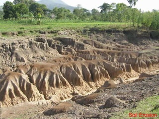 Soil Erosion
 