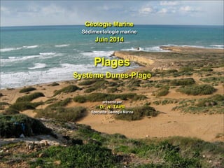 Géologie Marine
Sédimentologie marine
Juin 2014
présenté par
Dr. N. TAIBI
Spécialité: Géologie Marine
Plages
Système Dunes-Plage
 