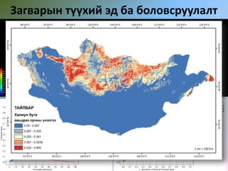 Загварын түүхий эд ба боловсруулалт
 