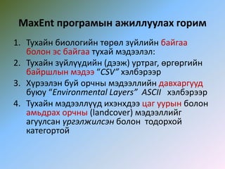 MaxEnt програмын ажиллуулах горим
1. Тухайн биологийн төрөл зүйлийн байгаа
болон эс байгаа тухай мэдээлэл:
2. Тухайн зүйлүүдийн (дээж) уртраг, өргөргийн
байршлын мэдээ “CSV” хэлбэрээр
3. Хүрээлэн буй орчны мэдээллийн давхаргууд
буюу “Environmental Layers” ASCII хэлбэрээр
4. Тухайн мэдээллүүд ихэнхдээ цаг уурын болон
амьдрах орчны (landcover) мэдээллийг
агуулсан үргэлжилсэн болон тодорхой
категортой
 