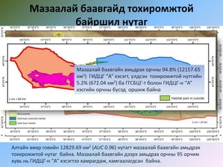 Мазаалай баавгайд тохиромжтой
байршил нутаг
Алтайн өвөр говийн 12829.69 км2 (AUC 0.96) нутагт мазаалай баавгайн амьдрах
тохиромжтой нутаг байна. Мазаалай баавгайн дээрх амьдрах орчны 95 орчим
хувь нь ГИДЦГ-н “А” хэсэгтээ хамрагдаж, хамгаалагдсан байна.
Мазаалай баавгайн амьдрах орчны 94.8% (12157.65
км2) ГИДЦГ “А” хэсэгт, үлдсэн тохиромжтой нутгийн
5.2% (672.04 км2) ба ГГСБЦГ-т болон ГИДЦГ-н “А”
хэсгийн орчны бүсэд оршиж байна
 