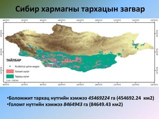 Сибир хармагны тархацын загвар
•Боломжит тархац нутгийн хэмжээ 45469224 га (454692.24 км2)
•Голомт нутгийн хэмжээ 8464943 га (84649.43 км2)
 