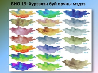 БИО 19: Хүрээлэн буй орчны мэдээ
 